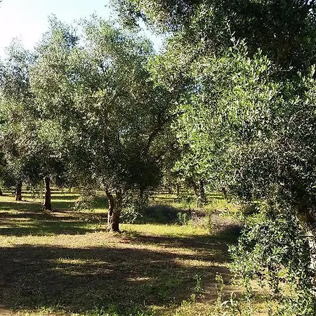 Ilaria